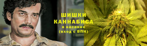 метадон Няндома
