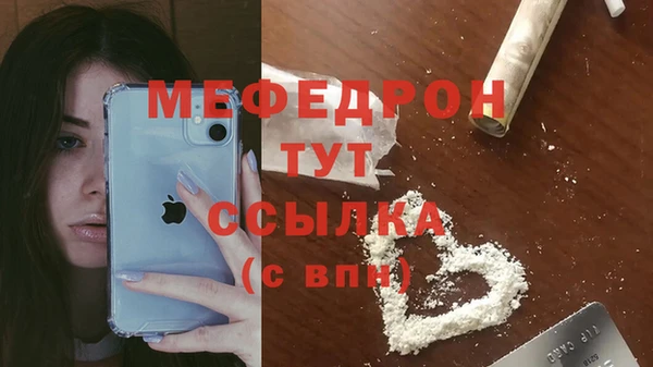 соль ск Новозыбков