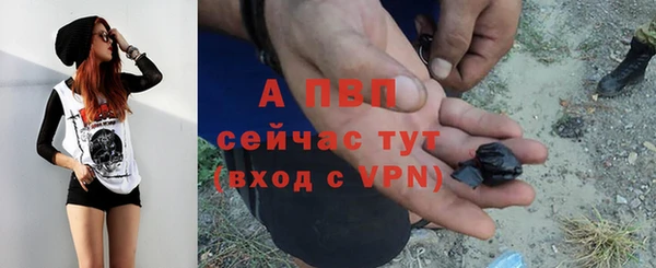 шишки Нязепетровск