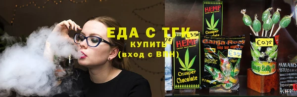 соль ск Новозыбков