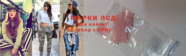 прущие грибы Новокубанск