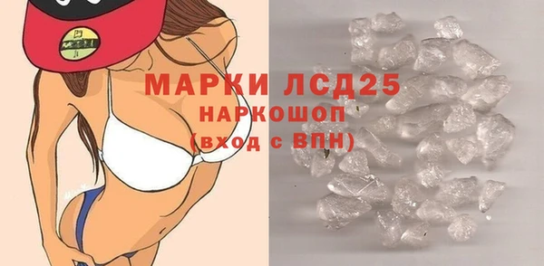 прущие грибы Новокубанск
