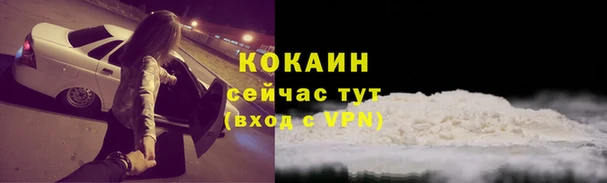соль ск Новозыбков