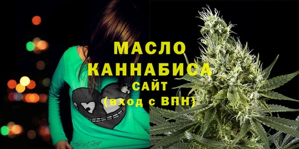 соль ск Новозыбков