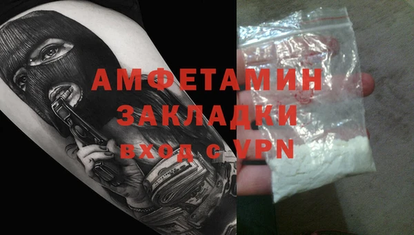 прущие грибы Новокубанск